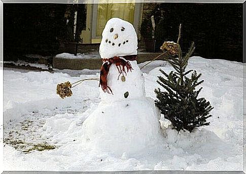 snowman next to spruce tree