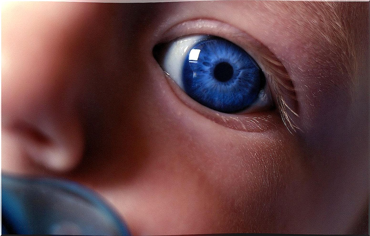 A newborn's vision - I see you, mother: When a newborn discovers you