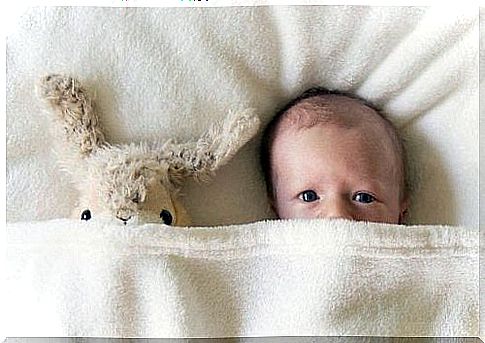 Baby under duvet with teddy bear.  A newborn's vision