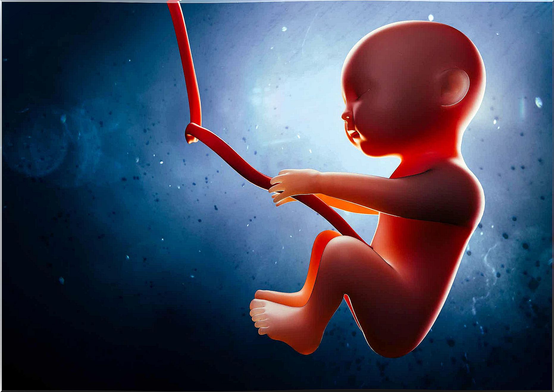 A digital illustration of a baby floating in the womb