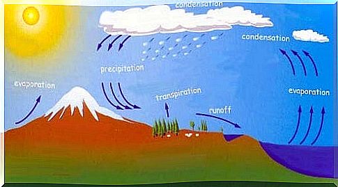 animation of the water cycle