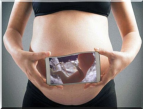 picture of baby in womb