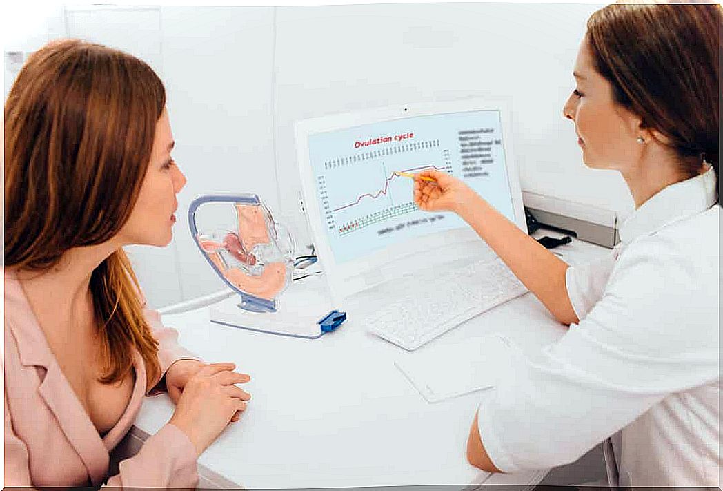 A doctor explains ovulation to a patient