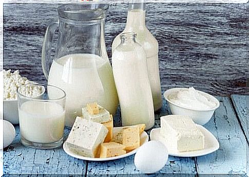 Dairy products are rich in vitamins