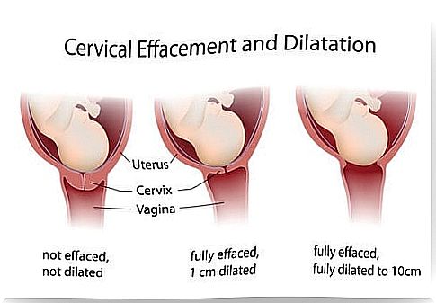 baby on its way down the pelvis